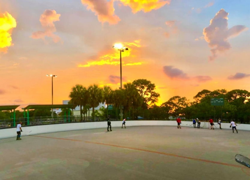 Hockey in Fort Lauderdale Jason Taub Selling South Florida.