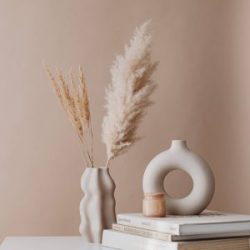 Amsterdam Light Mango Circle Shelf